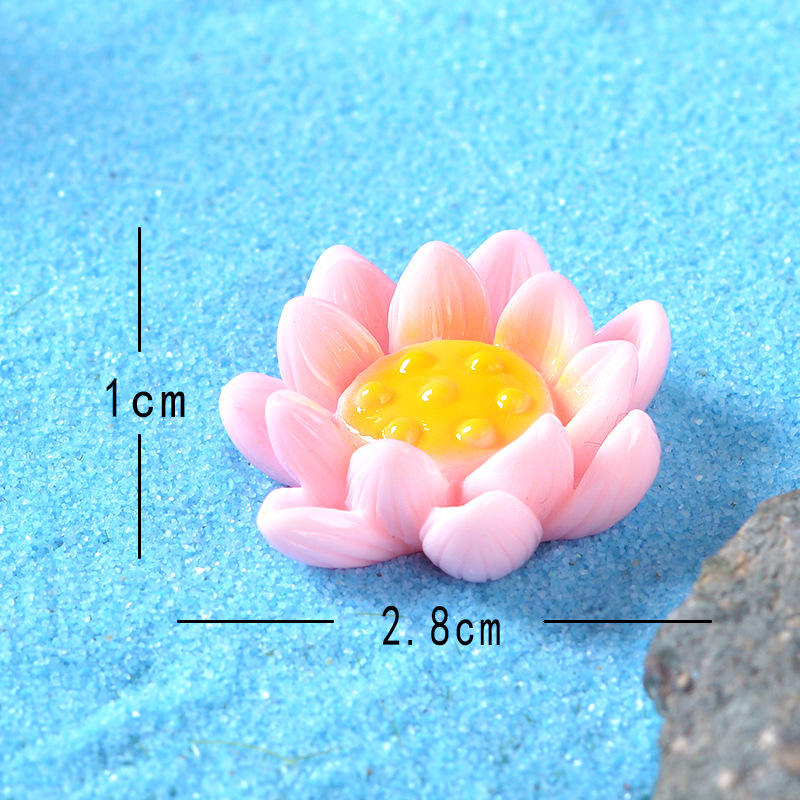 Lotus en pleine floraison