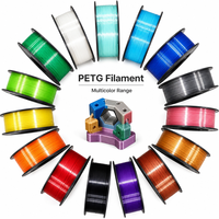 Filamen Printer 3D PETG 1.75mm 1kg Ketahanan Tinggi Tahan Panas Minimalisasi Penyimpangan Filamen PETG untuk Pencetakan 3D FDM
