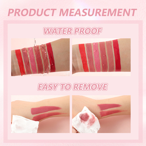 Custom Liquid Lipstick <strong>Manufacturer</strong> Long-Wear Transfer-Resistant Lip Gloss OEM/ODM Lip Makeup Supplier Private Label <strong>Cosmetics</strong> - Product Image 5