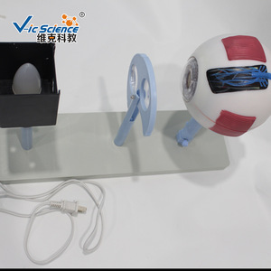 Projecteur oculaire, modèle de démonstration d'imagerie oculaire, équipement d'expérimentation biologique pour collèges, matériel de démonstration - Product Image 3