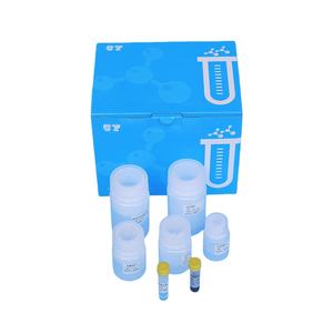 Kit d'extraction de perle magnétique en acide 1 boîte, Isolation de l'arn, purification de l'ail, agent de laboratoire - Product Image 1