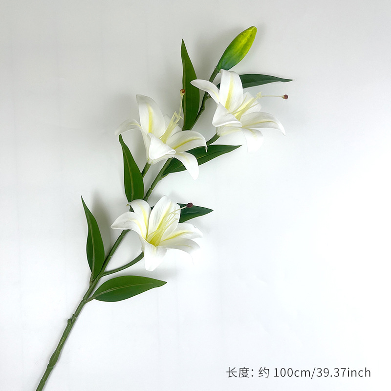 White (yellow core)