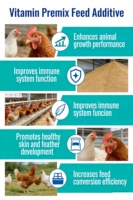 Multivitamines de haute qualité contenant de la vitamine A, B1, B2, B6, B12, composé de poudre fine, multivitamines pour l'élevage de volailles