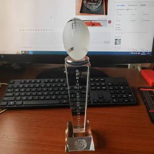 Vendita calda K9 bianco personalizzato 3D logo Laser cristallo trofeo di Rugby coppa del trofeo di Football americano premi per i campionati campione - Product Image 3