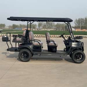 Pièces détachées pour voiturettes de <span class=keywords><strong>golf</strong></span> : Bras oscillant central et arbre de transmission directionnel pour voiturettes de <span class=keywords><strong>golf</strong></span>, véhicules électriques de tourisme et bus - Product Image 2