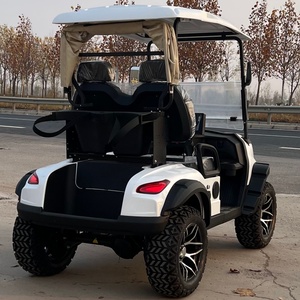 Voiturette <span class=keywords><strong>de</strong></span> golf électrique 2 places certifiée CE pour concessionnaires OEM, opérations <span class=keywords><strong>de</strong></span> location, sites <span class=keywords><strong>de</strong></span> loisirs, vitesse 30-50 km/h, autonomie 70-90 km, homologation DOT, conformité EMC - Product Image 5
