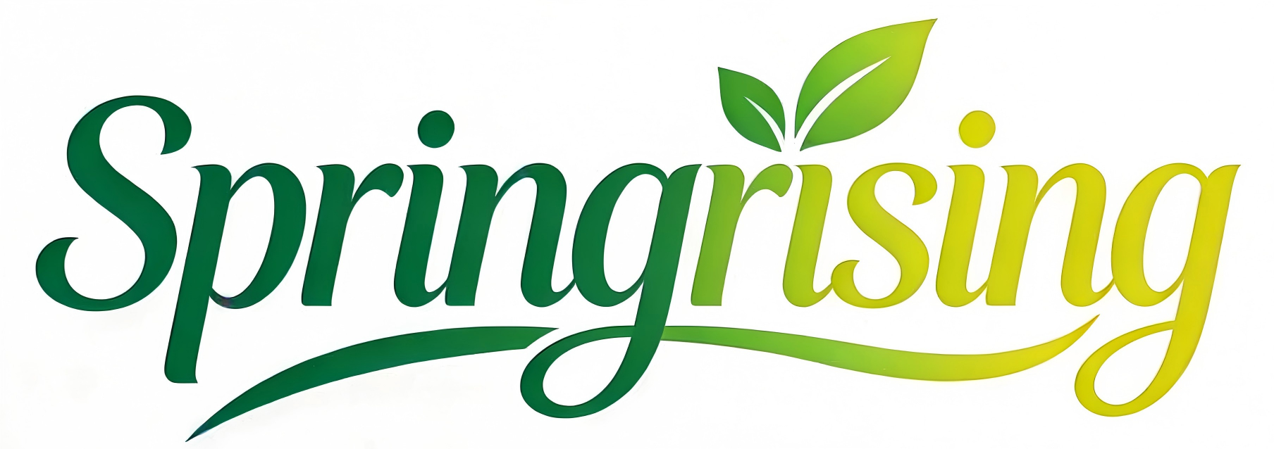 Xuzhou Springrising Technology Co., Ltd. logo