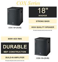 Konser Pernikahan Luar Ruangan Morin Diperkuat dengan Subwoofer Aktif 18 Inch 600W Birch Splint