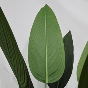 Grande plante artificielle en soie de type oiseau de <span class=keywords><strong>paradis</strong></span> en pot pour la décoration intérieure du salon <span class=keywords><strong>ou</strong></span> de l'agence, verdure artificielle - Product Image 2