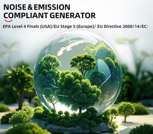 Op maat gemaakte CNG-gasturbinegenerator, éénfase, stabiele prestaties, UKCA-gecertificeerd voor gebruik in mijnen - Product Image 4