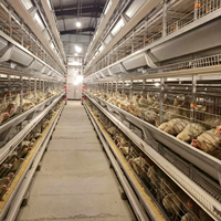 Poulailler automatique galvanisé pour poulets de chair en batterie, type H, contrôle environnemental entièrement automatique, taille personnalisée 15-20