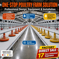 Équipement d'élevage avicole : Système de sol pour poulets de chair avec ligne d'abreuvement et d'alimentation