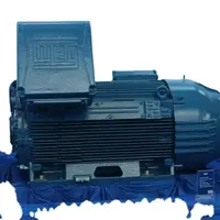 Vendita calda motori weg di migliore qualità Siemens ABB vem teco US motori elettrici