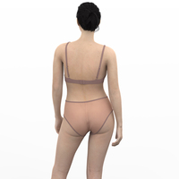 Dames Elegante Kanten Lingerie Bloemenborduurwerk Snel Droog En Duurzaam-Zachte Doorzichtige Bh En Panty Set