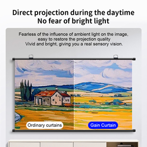 Écran de Projecteur Topleo Rétractable Grille Blanche Anti-Lumière 120 Pouces 4K LED Grand Film Écran de Projection ALR - Product Image 4