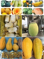 Jiahuang Éplucheur Électrique Automatique pour Peau de Citrouille Ananas Melon Pastèque Papaye