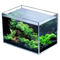Les fabricants de haute qualité vendent des aquariums écologiques en verre