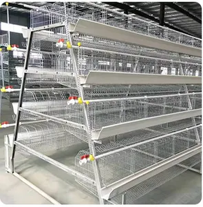 Factories Sell Cheap Type A Layer Chicken Cages And Poultry Farms Chicken Cages