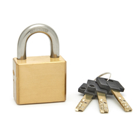 Cadenas en laiton massif de haute qualité, 54 mm, carré, chromé, à levier unique, verrouillable, remplaçable, pour une utilisation sécurisée sur valises et portails