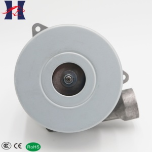 Moteur de souffleur d'aspirateur de remplacement avec boîtier argenté, sortie d'air latérale, couvercle de moteur noir, câblage et base de montage - Product Image 2