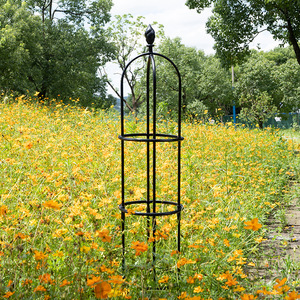 Treillis rond en fer pour plantes avec un design durable pour une utilisation en extérieur dans le jardin - Product Image 5