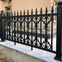 Clôture en acier et fer sur mesure fabriquée en Chine, vente en gros, panneaux de clôture en métal à lames noires avec revêtement en poudre pour l'intimité, pour jardin extérieur
