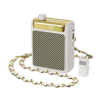 Amplificateur de puissance rechargeable et ensemble de micro-casque léger pour enseignants, guides touristiques, conférences en plein air et événements de groupe