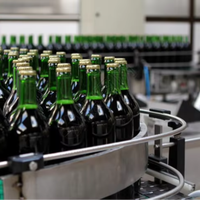 Projet clé en main de mise en bouteille de bière en verre, machine de remplissage et de bouchage monobloc 3 en 1, installation d'usine de brassage, machine de remplissage de bière