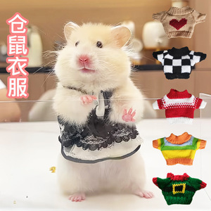 Vêtements pour hamster - adaptés à toutes les saisons. Vêtement jupe pour petits animaux. <span class=keywords><strong>Pull</strong></span> en laine pour ours aux poils dorés. - Product Image 3