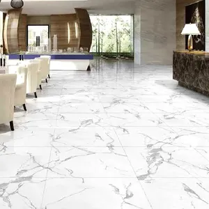 Modern Design Ivory Pure White Porcelanato Ceramic Floor Tile 60x60 Glazed Surface For Interior Collection