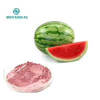 100% poudre de fruit de pastèque de solubilité dans l'eau naturelle pure
