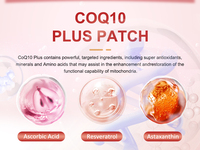 Patch transdermique CoQ10 Plus OEM/ODM, patch antioxydant infusé de coenzyme Q10 pour stimuler l'énergie cellulaire, expédition rapide depuis l'entrepôt