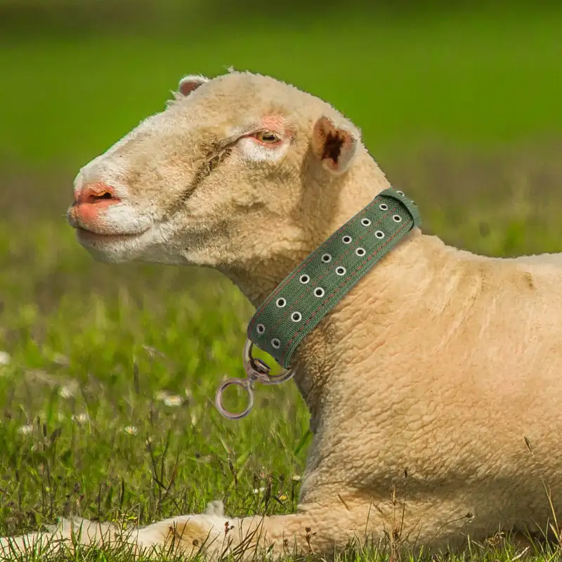 מתכוונן סוס כבשים עיזים עגל חבל פרה צוואר צווארון עבור חוות בעלי חיים