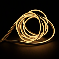 Bande lumineuse LED néon PVC flexible à émission latérale 12V 3000K Ra80 280lm par mètre IP65 OEM pour aménagement paysager et jardin
