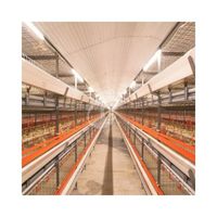 Collecte automatique d'oeufs avec la cage de poulet de prix usine pour la ferme de poulets de chair