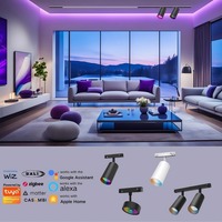 Capteur de mouvement KNX Casambi Matter Dali 0-10V, variateur de lumière LED orientable, éclairage intelligent Wifi Alexa, RGB DMX Zigbee Tuya, projecteur