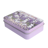 Boîte rectangulaire en fer blanc petit métal universel USB Flash Drive Case bijoux rectangulaire fenêtre boîte en fer main Spinner emballage boîte en fer blanc