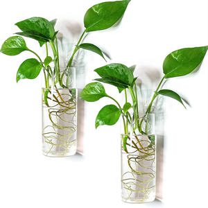 Hand geblasenes Wandbehang rundes Glasrohr Vase Pflanzer Pflanzen <span class=keywords><strong>terrarium</strong></span> für Haupt dekoration - Product Image 4