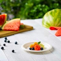 Assiettes rondes jetables écologiques Ecolife Green en bagasse, biodégradables, compatibles lave-vaisselle, compostables