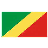 Nouveau Drapeau Personnalisé 2025 de 90x150cm (3x5 pieds) de la République du Congo (référencé comme « Congo (Brazzaville) »)