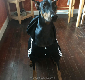 Sweat à capuche pour chien <span class=keywords><strong>Golden</strong></span> <span class=keywords><strong>Retriever</strong></span>, vêtement à la mode, grand gabarit - Product Image 2