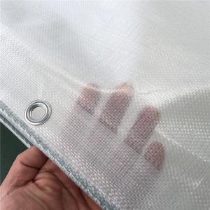 Tela cerata trasparente del PE di 100% poli telone con il <span class=keywords><strong>trattamento</strong></span> UV per la piantagione di agricoltura della serra - Product Image 6