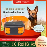 Traceur GPS pour animaux de compagnie, dispositif anti-perte avec positionnement Beidou, collier pour grands chiens de chasse, en plastique ABS, compatible Android, audio-visuel