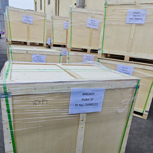 Anclaje Químico de Alta Resistencia Malaxy M12 M14 M16 M20 <span class=keywords><strong>M22</strong></span> M24 Perno de Anclaje Químico - Product Image 6