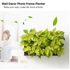 Cadre photo, pot de fleurs, jardin vertical, décoration murale pour salon, décoration intérieure - Product Image 2