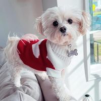 Pull pour chien en forme de cœur de fraise OEM, tricot traditionnel, chaud printemps/automne, MOQ 200, couleur/logo personnalisé