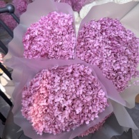 Sampel Gratis Bunga Asli Berkualitas Tinggi Pengawetan Gliserin Hydrangea Warna Kustom Ramah Lingkungan Tahan Lama Batang Hydrangea Besar MOQ Rendah