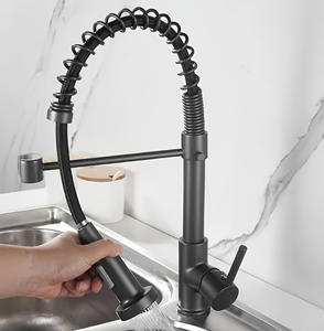 Robinets de cuisine modernes Robinets d'évier de cuisine en acier inoxydable à ressort Robinets de mélange d'eau chaude et froide - Product Image 5