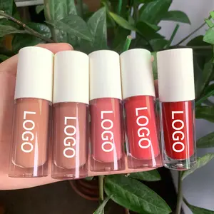 Makeup grosir 50 warna Matte selesai lipstik tahan lama Vegan Label pribadi lipstik cair tahan air