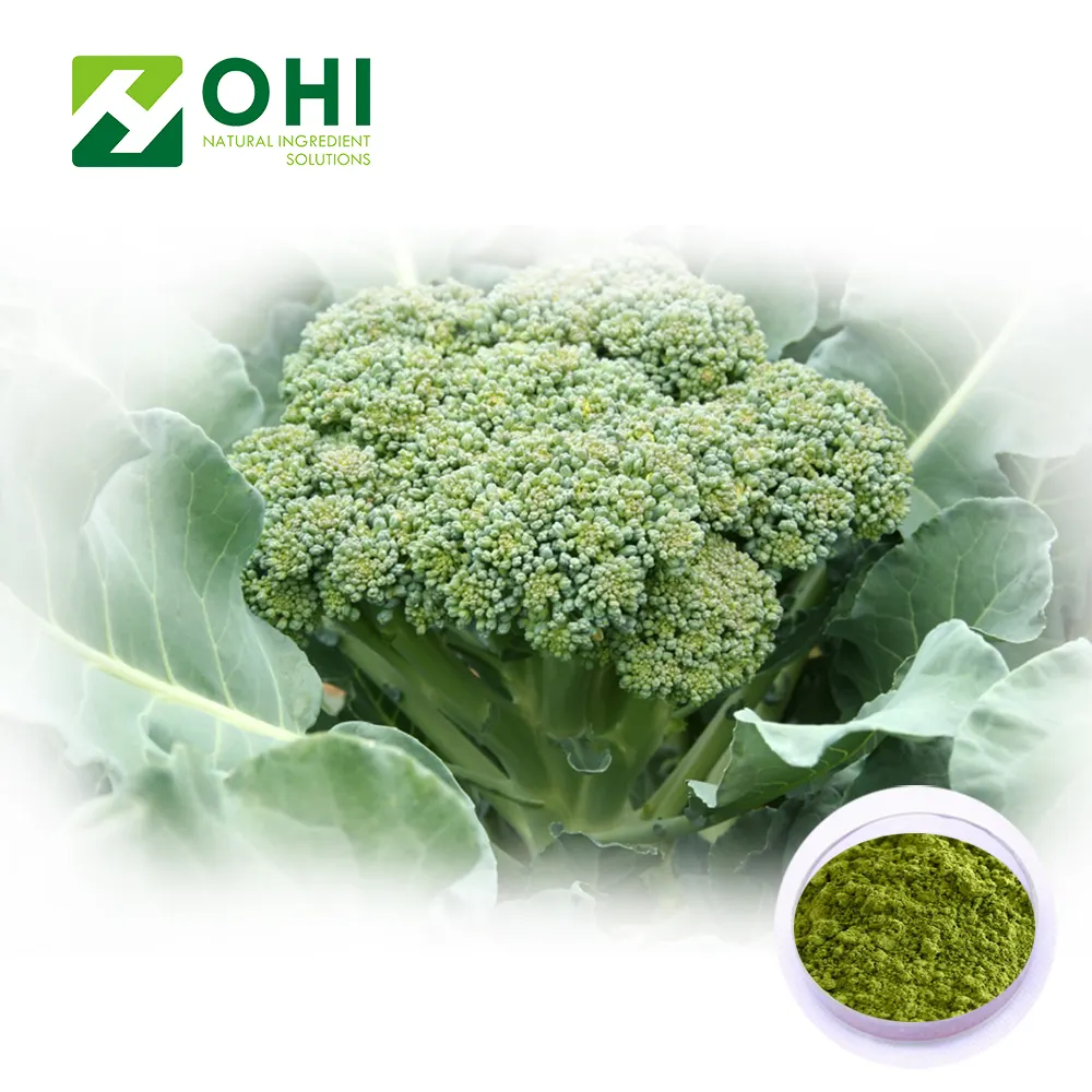 Pure Broccoli Sulforaphane Extract powder Brassica oleracea var. italica 98% Betaine anhydrous Glucoraphanin 0.5% L-Sulforaphane